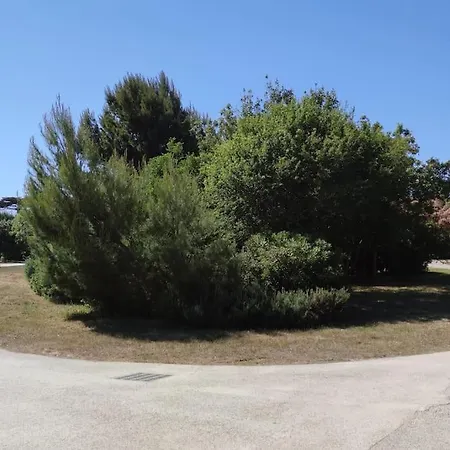 Axel Entre Et Port De Plaisance Appartement *