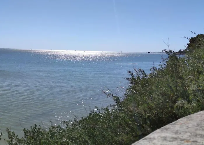 公寓 Axel Entre Et Port De Plaisance 拉罗歇尔